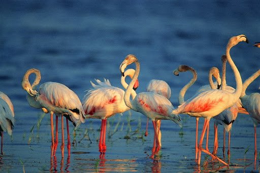 Kumana National Park